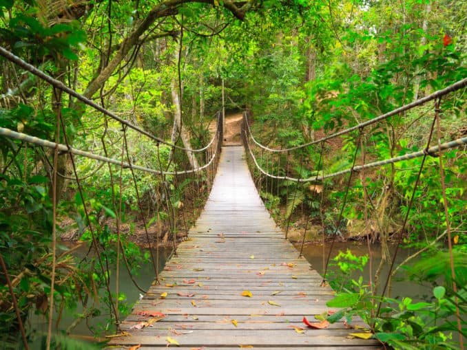 Khao Yai Nationalpark