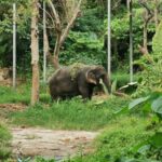 Thailand Reise 142