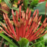 Thailand Reise 169