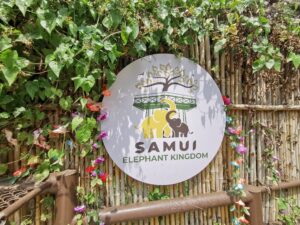 Samui Elefant Kingdom - Elefanten beobachten statt reiten Thailand Reise 197