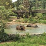 Thailand Reise 199