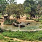 Thailand Reise 201