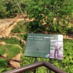 Thailand Reise 203
