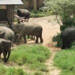 Thailand Reise 206