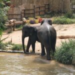 Thailand Reise 208