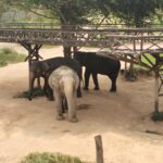Thailand Reise 209