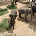 Thailand Reise 210