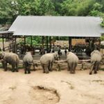 Thailand Reise 211