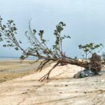Thailand Reise 8