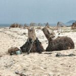 Thailand Reise 9